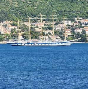 Meet your Posher, Virginia